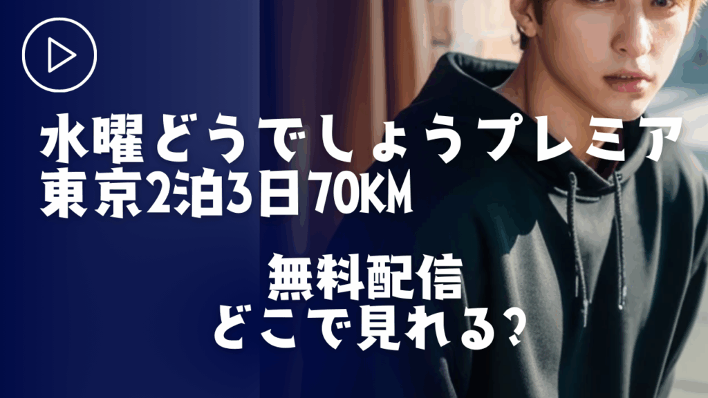 【レビュー】水曜どうでしょうプレミア　東京2泊3日70km配信どこで見れる?